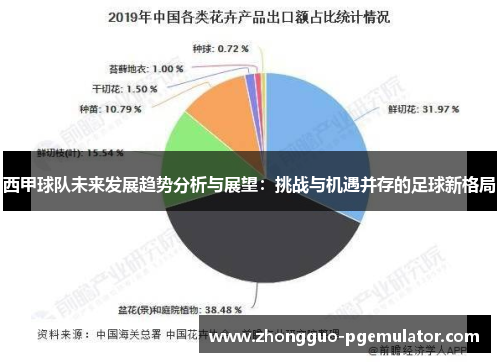 西甲球队未来发展趋势分析与展望：挑战与机遇并存的足球新格局
