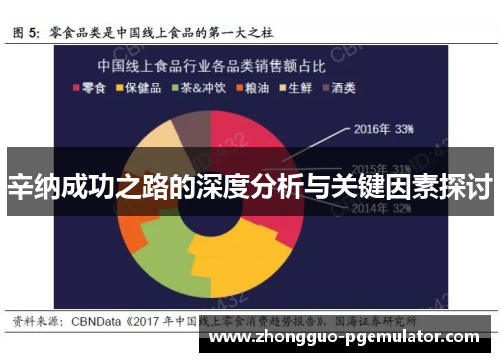 辛纳成功之路的深度分析与关键因素探讨