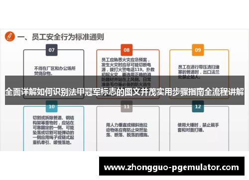 全面详解如何识别法甲冠军标志的图文并茂实用步骤指南全流程讲解