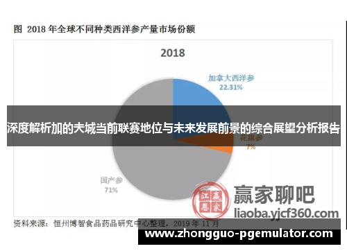 深度解析加的夫城当前联赛地位与未来发展前景的综合展望分析报告 深度解析加的夫城当前联赛地位与未来发展前景的综合展望分析报告