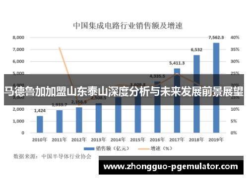 马德鲁加加盟山东泰山深度分析与未来发展前景展望 马德鲁加加盟山东泰山深度分析与未来发展前景展望