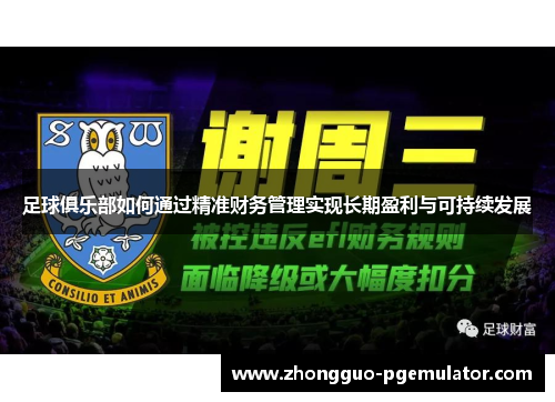 足球俱乐部如何通过精准财务管理实现长期盈利与可持续发展