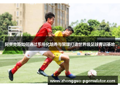 阿贾克斯如何通过系统化培养与管理打造世界级足球青训基地 阿贾克斯如何通过系统化培养与管理打造世界级足球青训基地